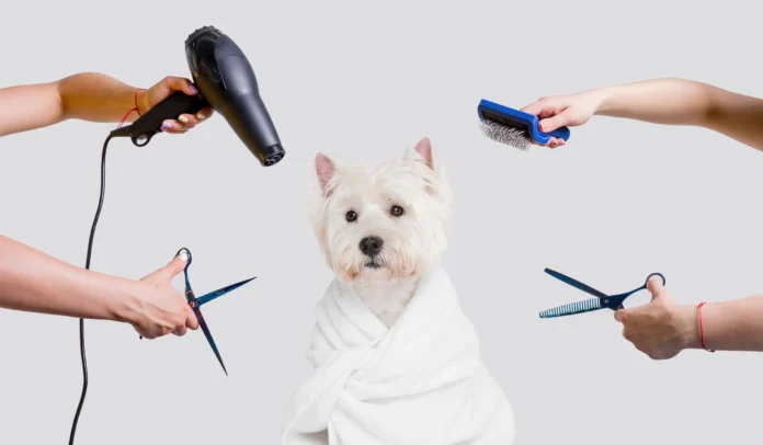Dog Grooming