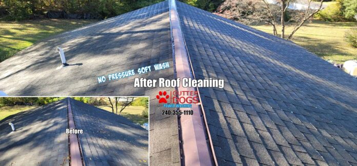 Oxon Hill roof cleaning service